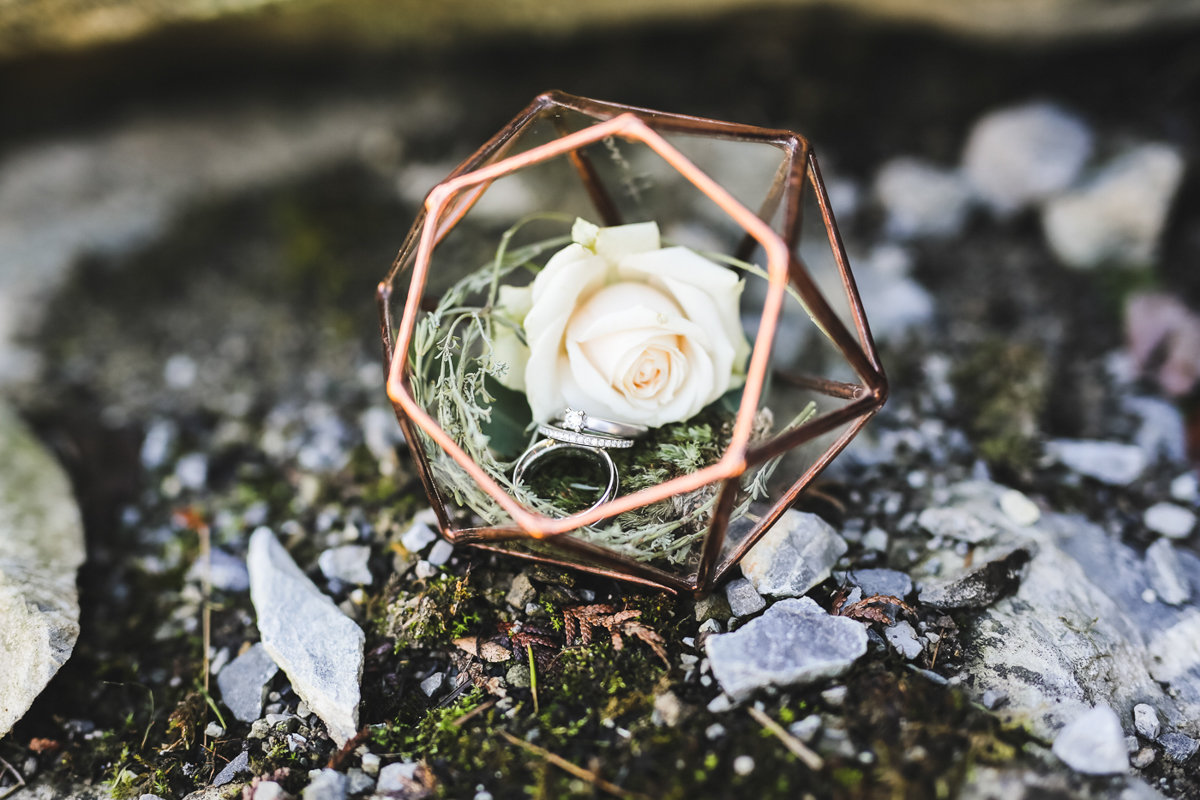 Hochzeitsfotograf Hochzeitsfotos